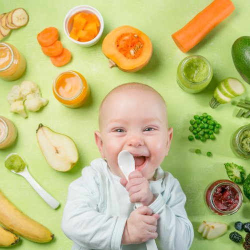 Pack repas bébé bio Petits plats de saison pour Bébé dès 6 ou 8